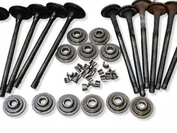 Conjunto de Válvulas OEM H4DF480 - Dacia