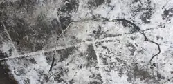 Mercedes W169 A1693701996 Automatikgetriebe Ölleitung