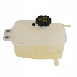 BYD OE STHR-1311010 expansievatdop - Gebruikt