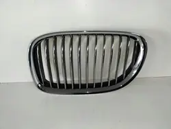 BMW 7 F01 08- Left Grille 51117184151