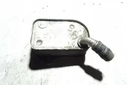 Radiador de óleo AUDI A4 (8EC, B7) 2.0L Diesel