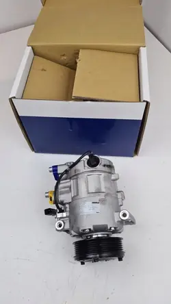 Compresseur de climatisation Mahle ACP 44 000S