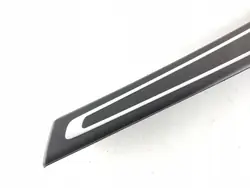 Porsche Panamera Garniture Portière Arrière OEM 8091938