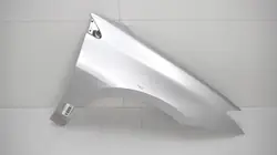 Voorrechter spatbord OEM 360175555 voor Renault Laguna III