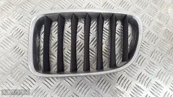 Griglia BMW X1 E84 2011 51112993305