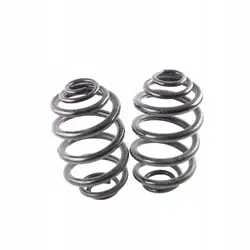 Molas Suspensão Traseira BMW X3 E83 OEM 3413080