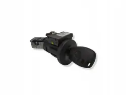 Dacia Sandero II Schlüssel OEM 285916556R - Gebraucht