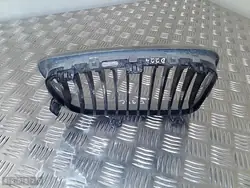 Grill BMW 1 Series E88 2010 51137179655