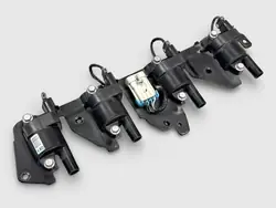 OEM ontstekingsspoelen met rail voor Escalade 07-14