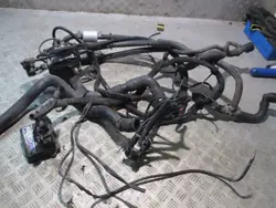 Stag LPG-Steuergerät OEM STEROWNIK PAROWNIK LISTWA WTRYSKOWA