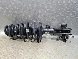 Amortizzatore McPherson IDS Anteriore Sinistro Opel Insignia A