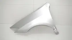 OEM 365578103 Front linker Kotflügel für Renault Laguna III