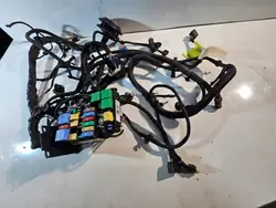 Faisceau Moteur OEM 9808959080 pour Peugeot Expert