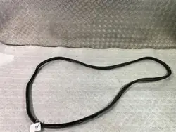 Junta de porta-malas Jaguar I-Pace 2020 OEM J9D343718A