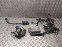 STAG-300-4 PLUS LPG-Kit für Fiat Punto Evo - Gebraucht