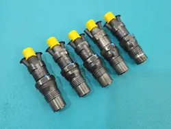 Injecteur OEM KCA30S44 pour VW Transporter T4 2.4D