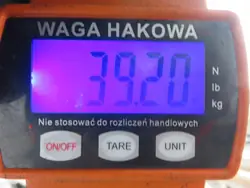 Bakfjädring OEM RESOR TYŁ IVECO DAILY III