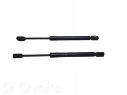 Actuador de capó BMW OEM VIJ67246 para Serie 5 F10/F11