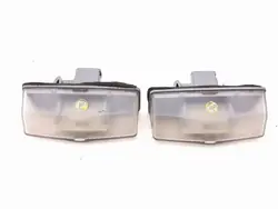 Luz da matrícula Lexus RX 450H 2020 OEM AMD217313
