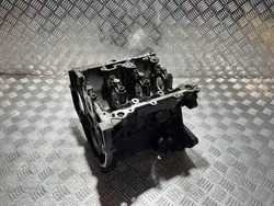 Bloc Moteur Ford OEM DG25794 M2DC pour Focus III
