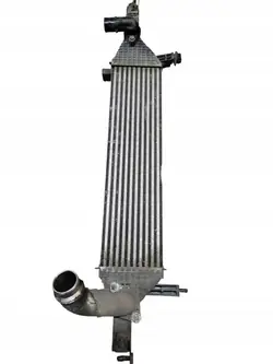 Intercooler Nissan Qashqai 1.6Dci Lift Y8396002
