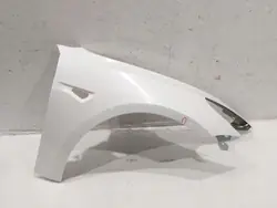 Para-lamas Dianteiro Direito Tesla Model 3 OEM PJT3536