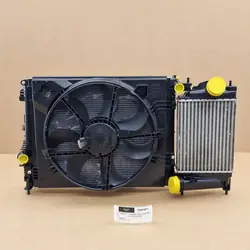 Conjunto de ventilador de refrigeración Renault Megane VI Scenic IV Talisman