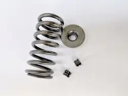 Mola de válvula BMW OEM 1438142 para B47 2.0D