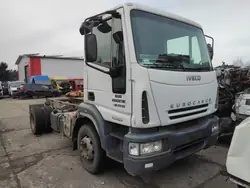 Iveco Bladfjädrar OEM 8871013, 2865B.6