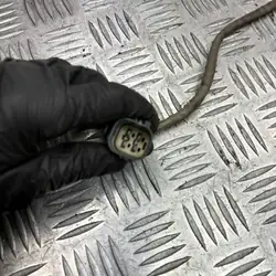 Sonda Lambda Volvo OE 30713592 - Usada