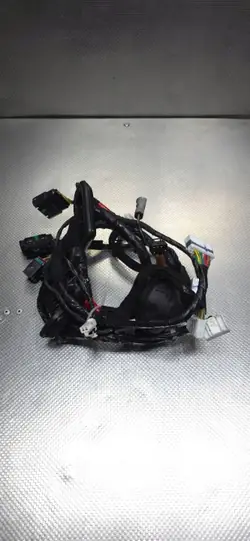 Faisceau Porte OEM 916002W264 Gauche Avant