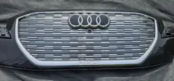 Grille Audi Q4 e-tron OEM 89A807725A - Occasion