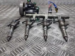 Kit Pompe à Injection OEM 0445010046 Peugeot 307