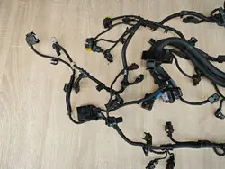 Faisceau Moteur OEM 7822439 pour BMW 2.0D