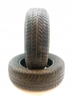 2x Vinterdäck Dębica Frigo 2 195/65R15 OEM 5907911324421