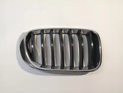 Grill Kidney BMW X3 F25 X4 F26 15- Right