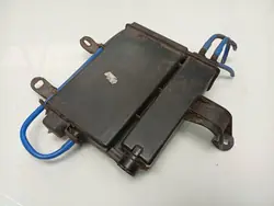 Fiat OE 46801183 Filtro Vapori Carburante Usato
