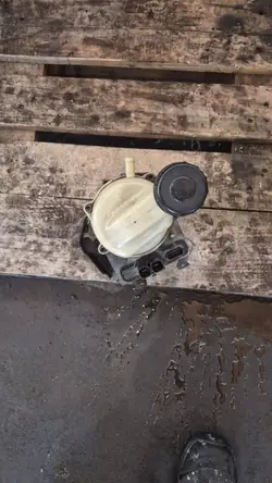Bomba de dirección Dacia OE 491109155R