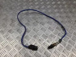 Sonda lambda OEM 97060612401 para Porsche Panamera