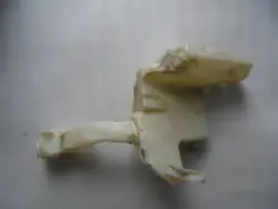 Pesunesteen säiliö Volkswagen Passat B5