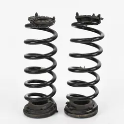 Molas Suspensão Traseira OEM 55350-F1CE0 - Usado