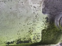 Kraftstoffpumpe Opel Astra II G 1998-2009 2.0 DTI OEM