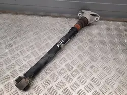 Ammortizzatore posteriore destro Audi A4 S4 B9 2017 OEM