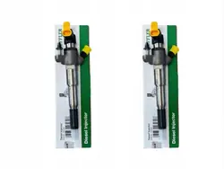 Injecteur x2 166000372R Neuf Master 2.3