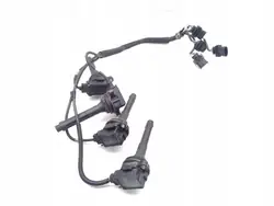 Jeu de bobines d'allumage Maserati Quattroporte OEM 0221604013