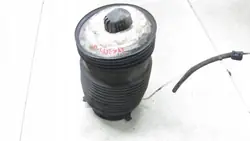 Mola de ar Mercedes W205 A2053200725 - Usado