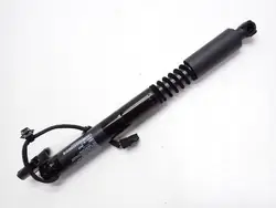 OEM 1063441-00-F Teleskopisk Dörrstöd för Tesla Model X