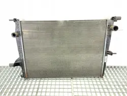 Radiador de agua Renault Scenic III 1.6 110CV 214100014R