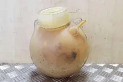 Tanque de expansão FORD GALAXY III 1.9L diesel