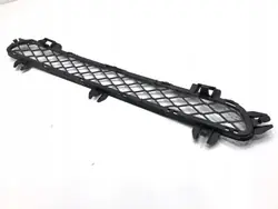 Stoßstangengrill vorne OEM 7210466 BMW F25 SUV 2010-2017